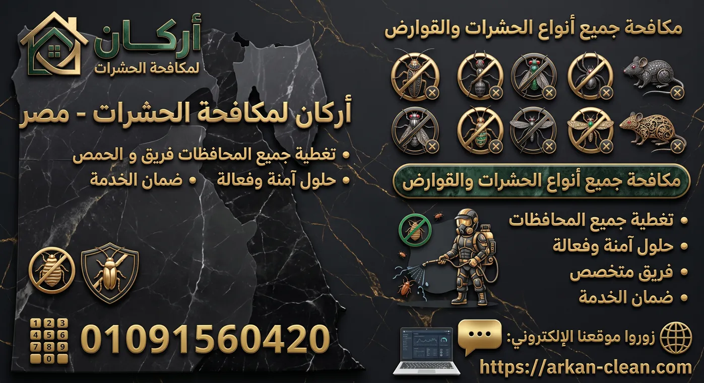 رقم شركة مكافحة بق وصراصير فى الزقازيق معتمدة في مصر لإبادة الحشرات والقوارض